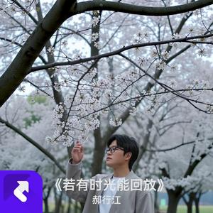 若有时光能回放