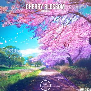Cherry Blossom