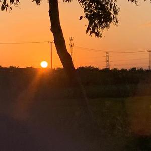 一直很安静（半音阶口琴版）