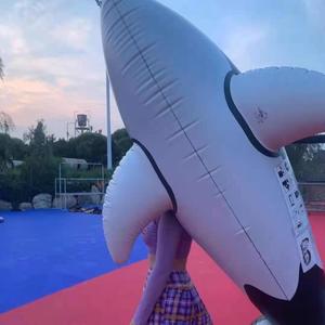 穿越时空的思念-BBCC