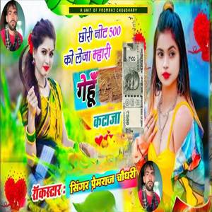 छोरी नोट 500 को लेजा म्हारा गेहूं कटाजा