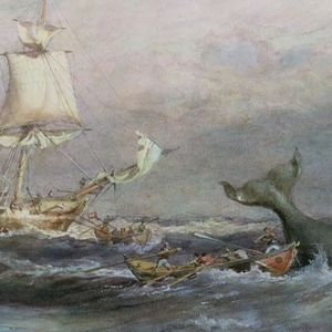 白鲸记（小说版）