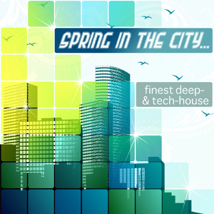 Btakora (Superskank Remix)