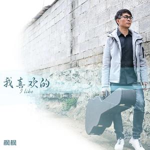 假如不曾爱过你