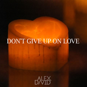 Don't Give Up On Love