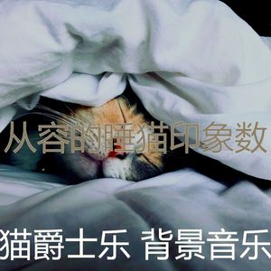 一尘不染小猫印象数
