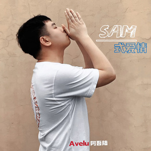 Sam与少年
