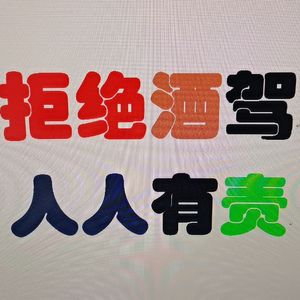 酒驾日记（MV版）