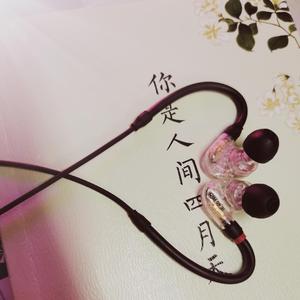 在安静的位置看热闹的世界