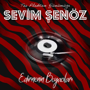 Edirnenin Boyacıları (Taş Plaktan Günümüze)