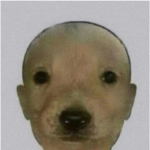 [FREE]免费可商用听完这首伴奏立马黑化