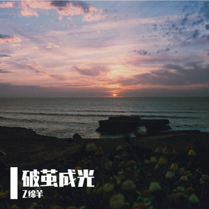 破茧成光