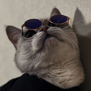 我路过你的青春却错过了余生