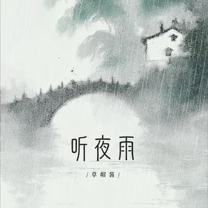 听夜雨(DJ阿泽版)
