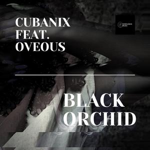 Black Orchid (feat. OVEOUS)