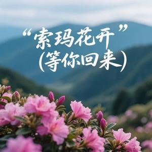 索玛花开 (Cover 心见)