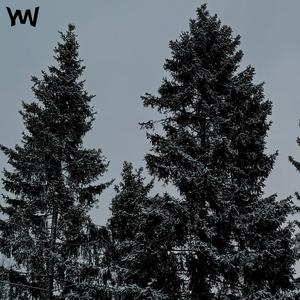 ПЕРВЫМ СНЕГОМ (slowed)