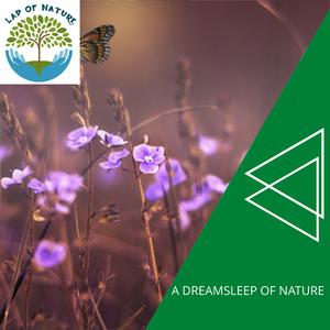 Blissful Thunderstorm