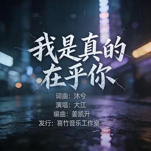 我是真的在乎你