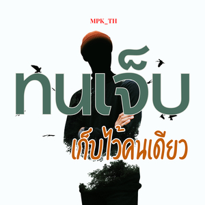 ทนเจ็บเก็บไว้คนเดียว