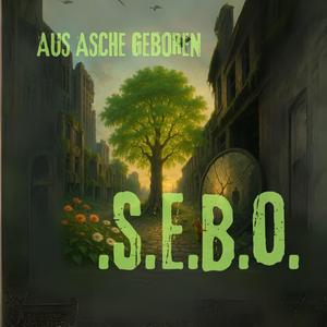 Im Licht der Scherben