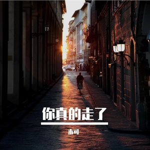 你真的走了