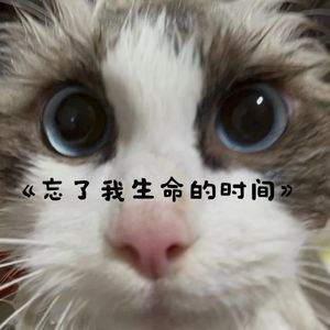 忘了我生命的时间