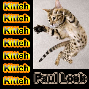 Kitteh (Original Mix)