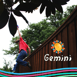Gemini