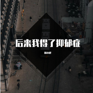 后来我得了抑郁症