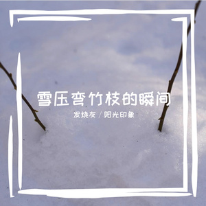 发烧友光印象
