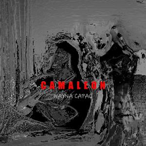 CAMALEON