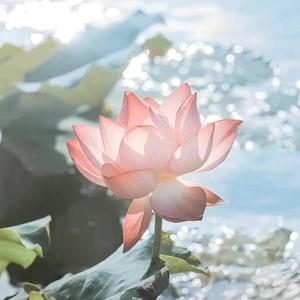 Gw.-想给你听（GW. remix）