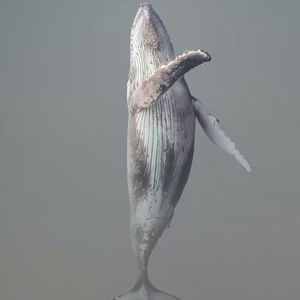 伴我（剑网三）