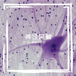 是时老师