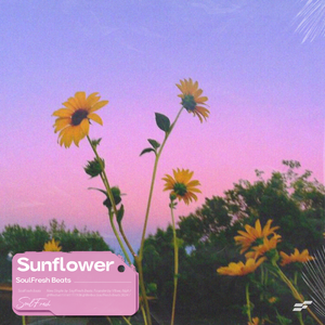 Post Malone x Indie Pop Type Beat "Sunflower"