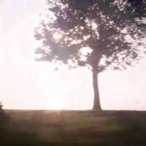 The dark seasons and the long years