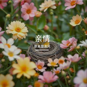 亲亲这一生至爱