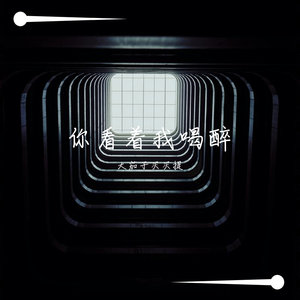 你看着我喝醉