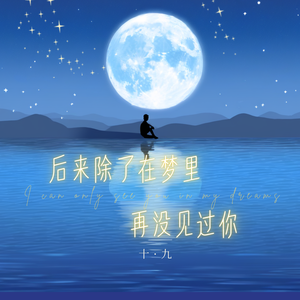 后来除了在梦里再没见过你