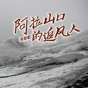 阿拉山口的追风人