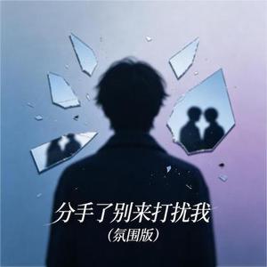 分手了别来打扰我 (氛围版)