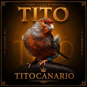 Titocanario 1