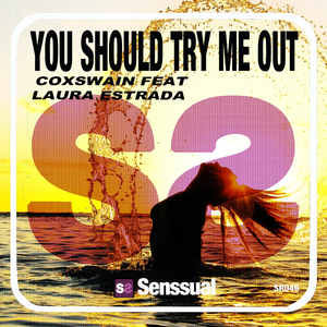 You Should Try Me Out (Radio Edit)