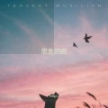 思念的疤 (伴奏)