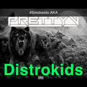 Distrokids