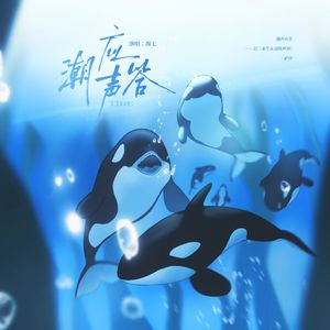 潮声应答——记《求生在动物世界》萨沙