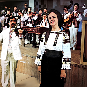 Vină, Cucule, În Sat