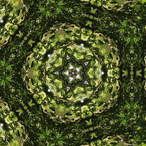 Sanskrit Mantra on Life Goals: Prathame Nārjitā Vidyā Dvitīye Nārjitaṃ Dhanam