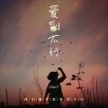 爱到不行 (DJ版)